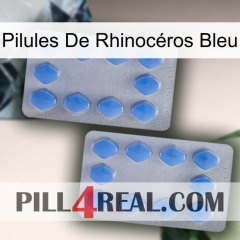 Pilules De Rhinocéros Bleu 20